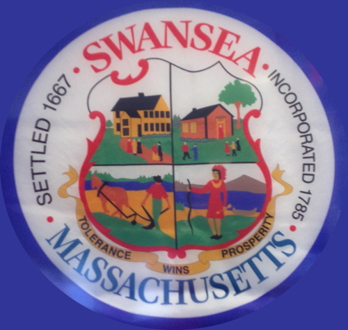 Swansea Town Flag logo