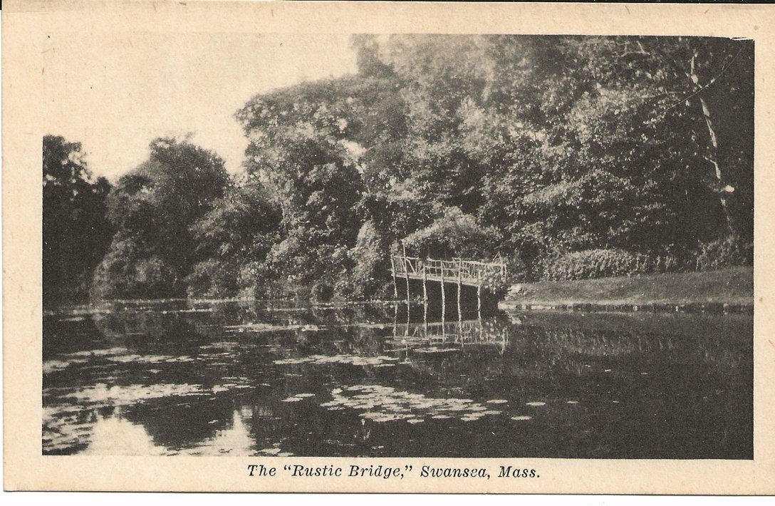 The Rustic Bridge