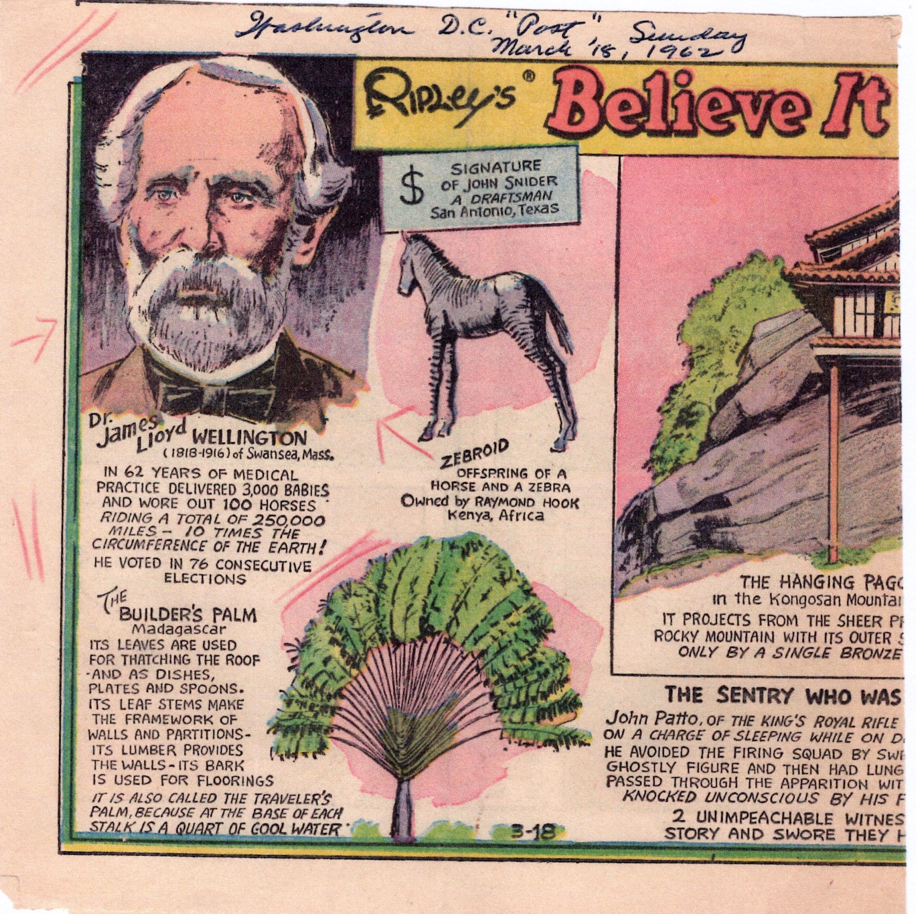 Ripleys Belive It or Not